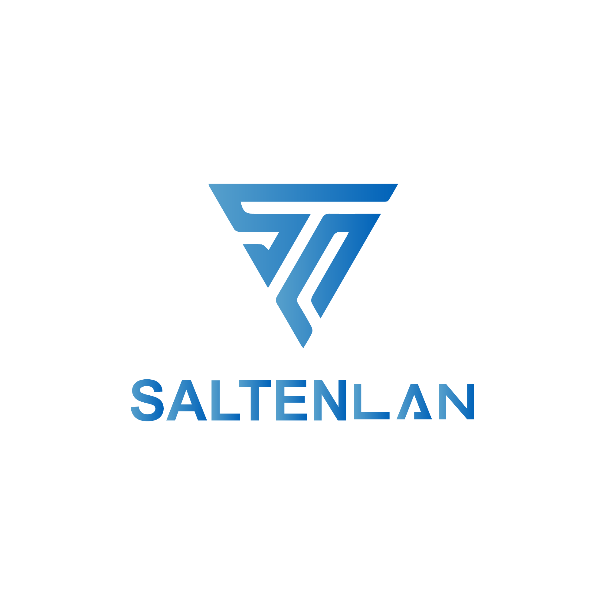 SaltenLAN