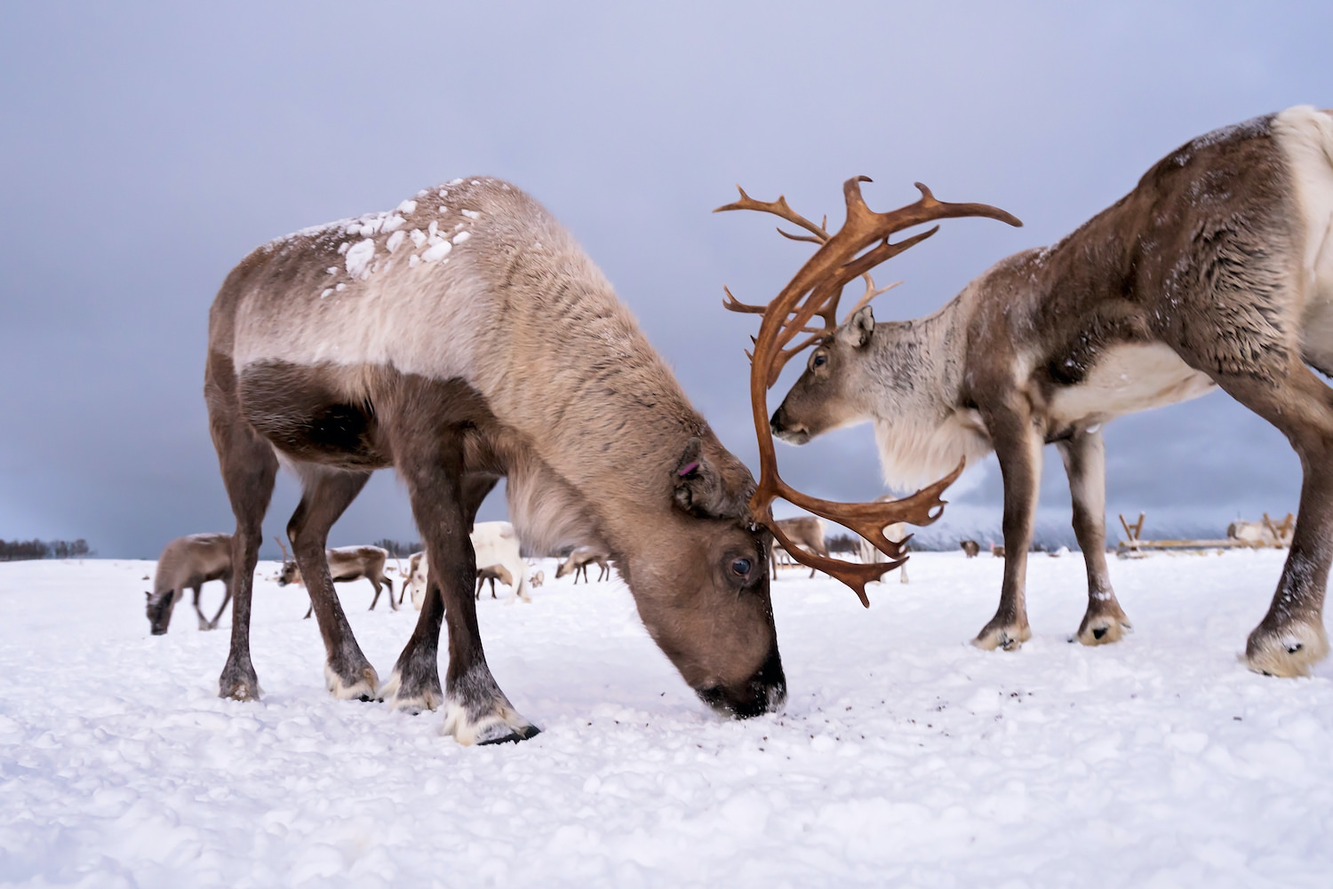 705-adobestock265390609.jpeg