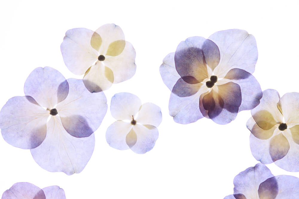 r183-shutterstock320235401.jpg